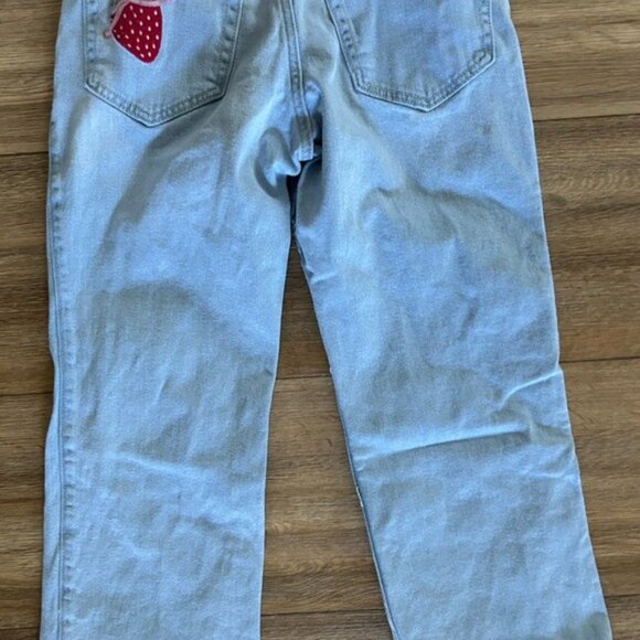 Hollister Sz 2R Strawberry Embroidered Low Rise Relaxed Straight Jeans - Picture 13 of 16